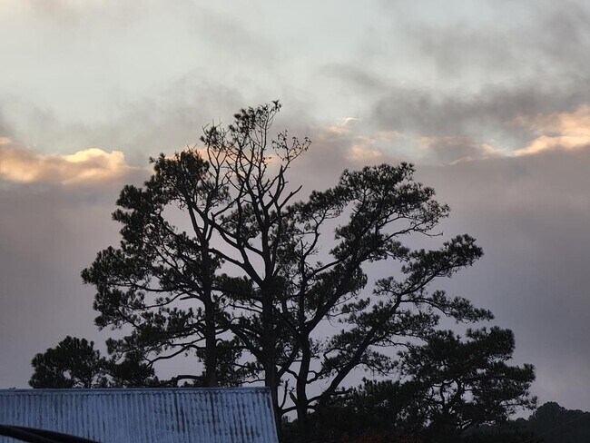 Building Photo - 14212 Shields Bridge Rd