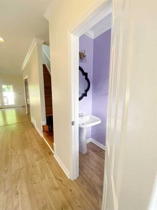 Building Photo - 56 Roundtree Ct