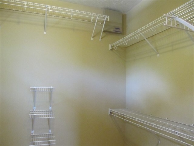 Building Photo - 17507 Whispering Star Ct