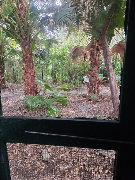 View of yard from the kitchen/living room - 2326 Esplanade Ave
