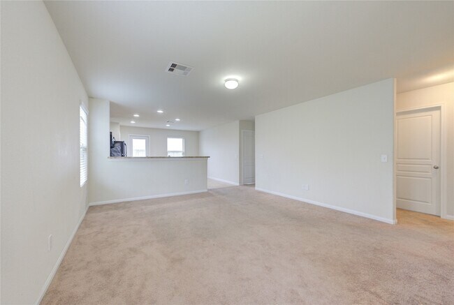 Building Photo - 1315 Pease River Ln