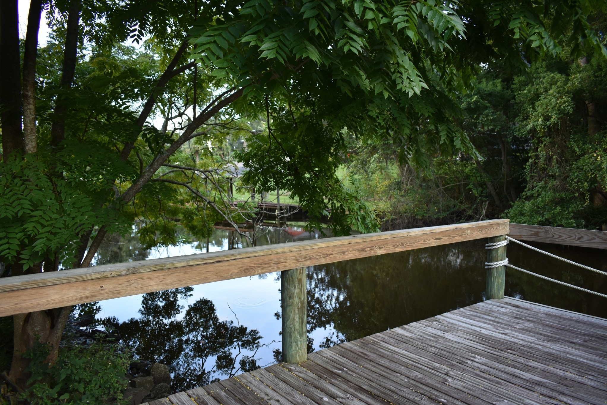 View from Dock - 4836 Atlantic Blvd