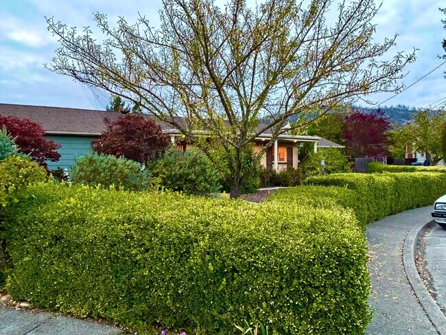 Building Photo - 216 Hampton Ct