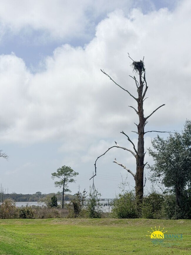 Building Photo - Spacious 4BR Home in Treasure Isle Estates in Navarre!