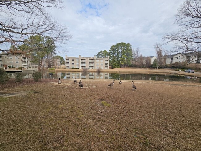 Building Photo - NEW LISTING!!!! Dont Miss Out