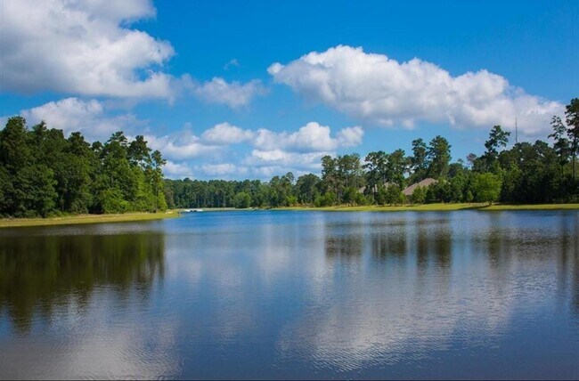 Building Photo - 2123 Rosewood Pnes Ln