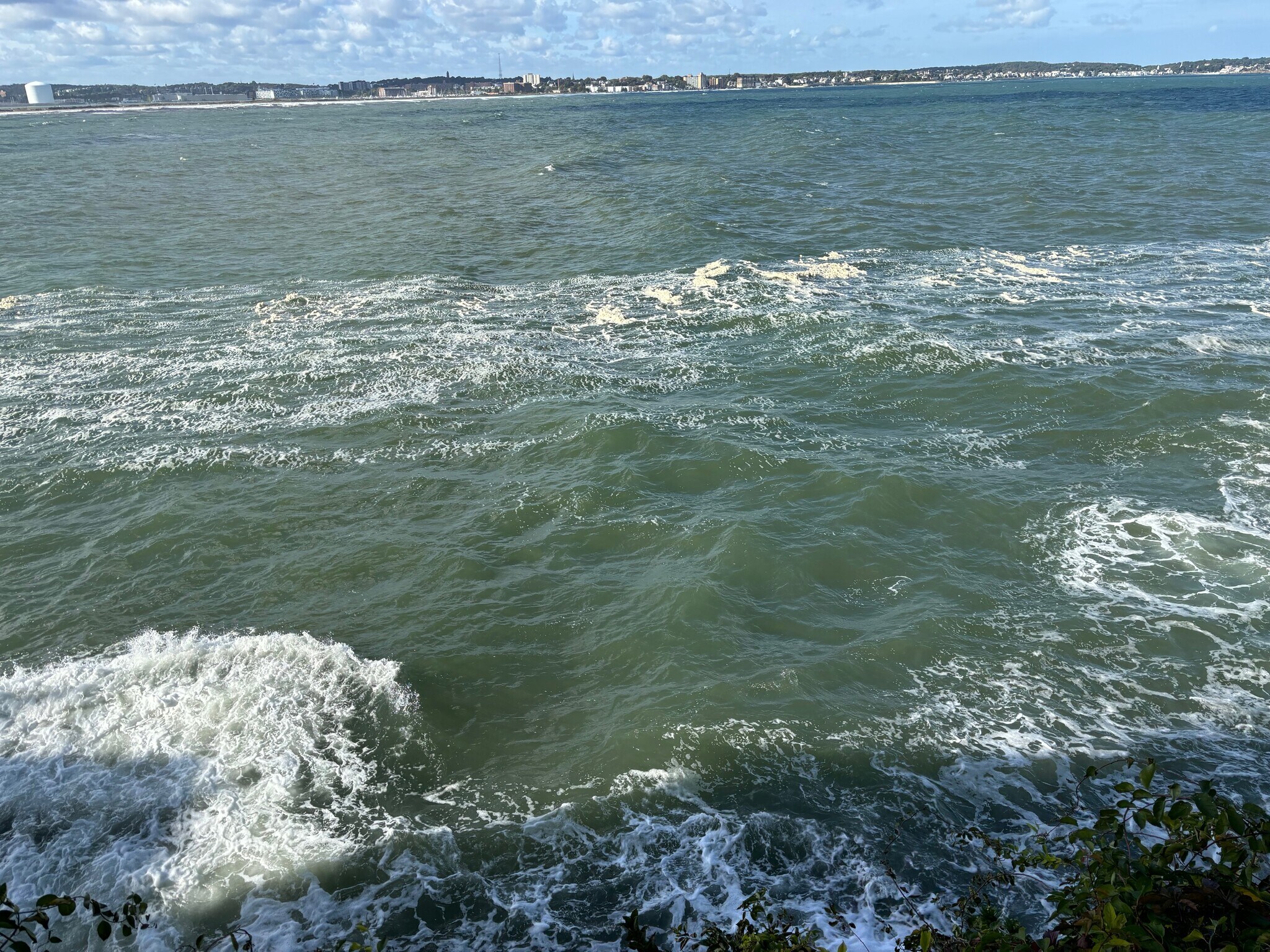 Building Photo - 234 Wilson Rd