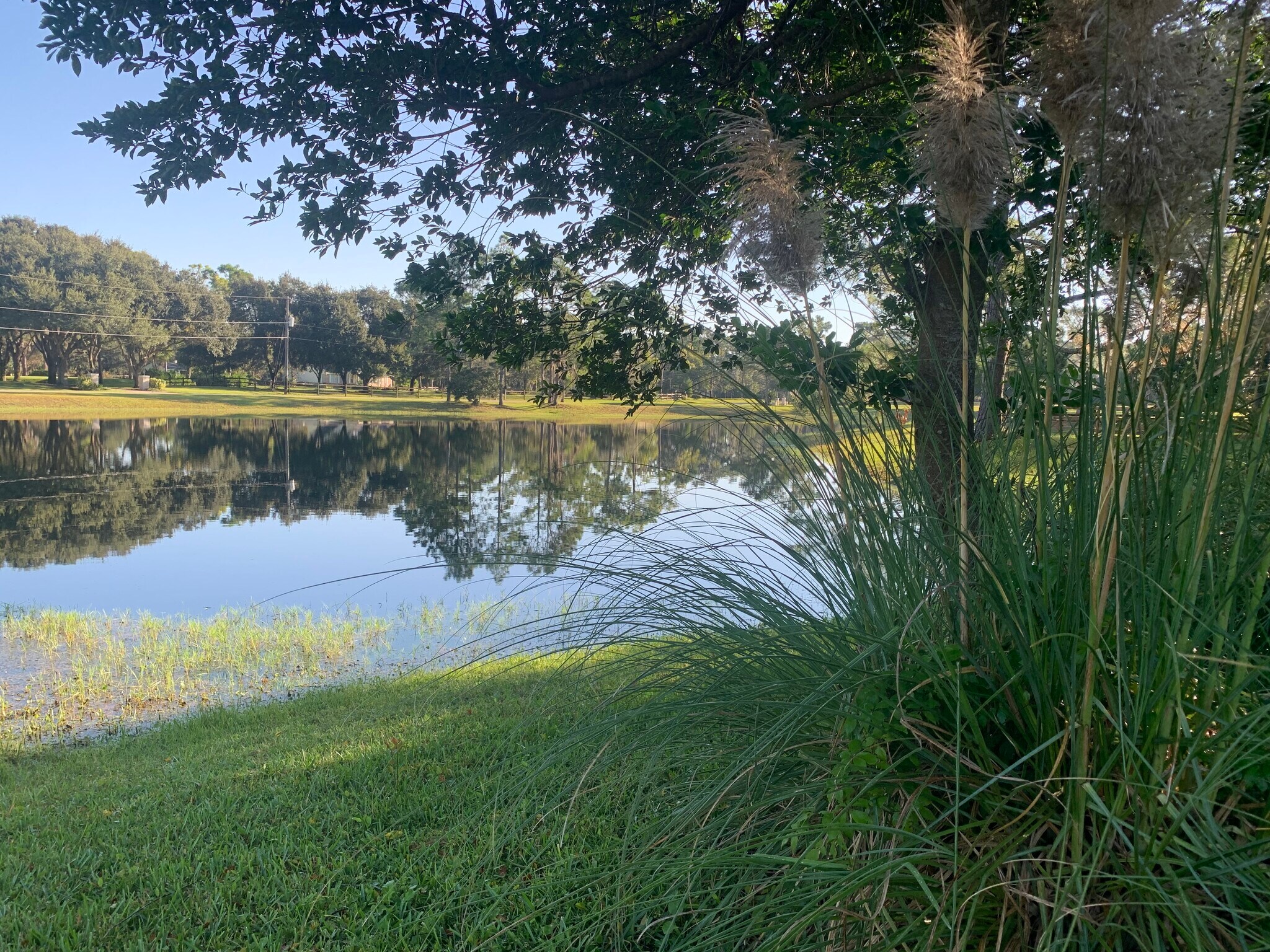 Building Photo - 10629 Quail Ridge Dr Apt