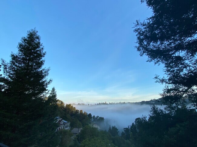 Building Photo - 6579 Exeter Dr