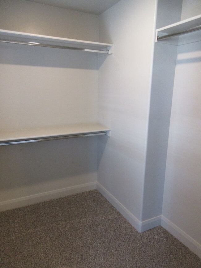 Building Photo - 3 bedroom, 2 bath - in the heart of Cedar ...