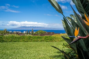 Building Photo - 50 Puu Anoano St