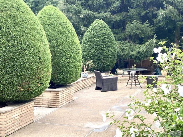 Building Photo - 255 Alpine Dr