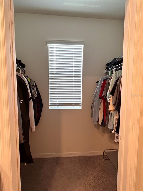 Building Photo - 17630 Canopy Pl