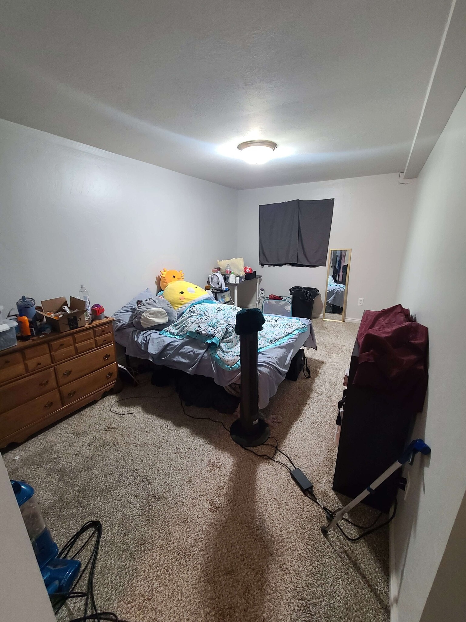 $1000 room (basement) - 476 E Acoma Rd