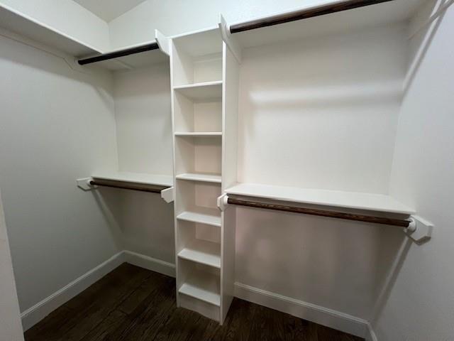 Building Photo - 3933 Carrera Ln