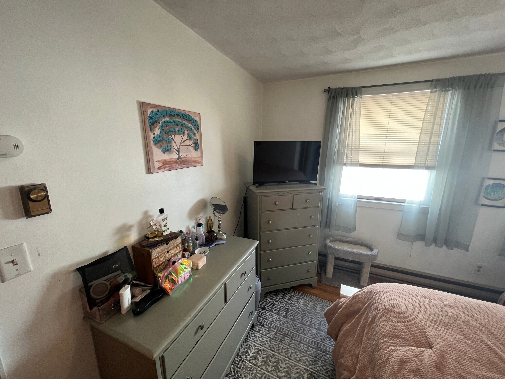 Building Photo - 217 Holland St