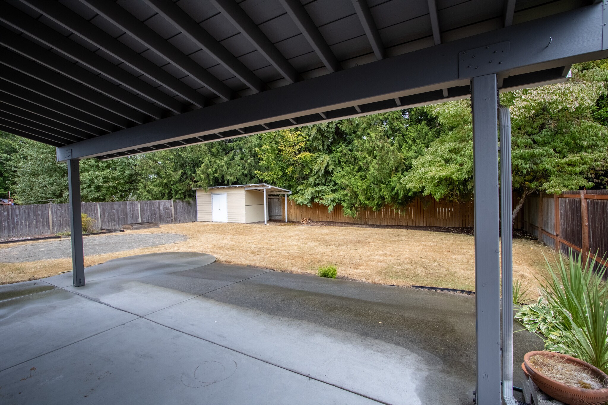 Backyard Patio & Shed - 13234 SE 261st St