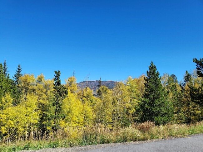 Primary Photo - 3712 Silverheels Dr