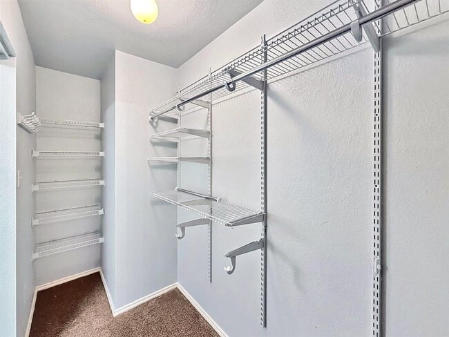 Building Photo - 2413 Socorro Bend