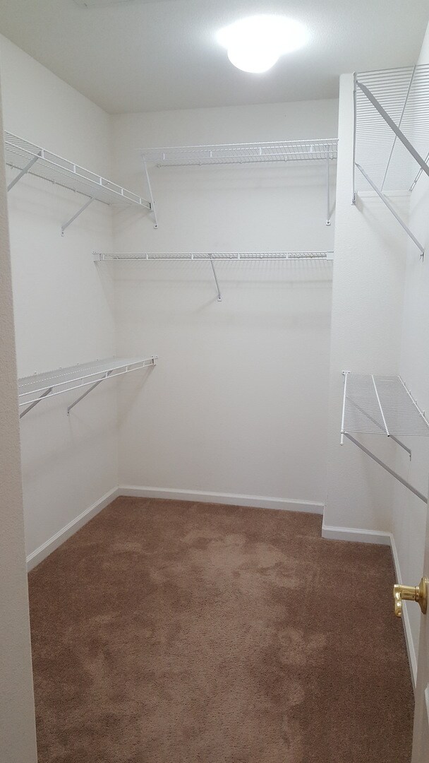 Building Photo - 4620 Sandyford Ct