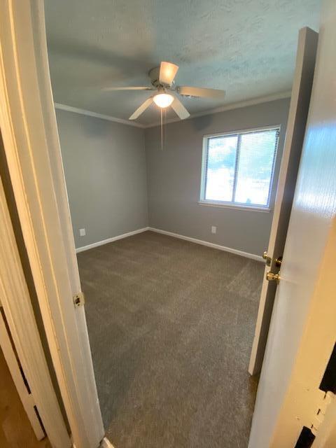 Building Photo - 3209 Mirror Lake Dr