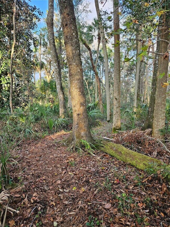 Building Photo - 7505 Jomel Dr