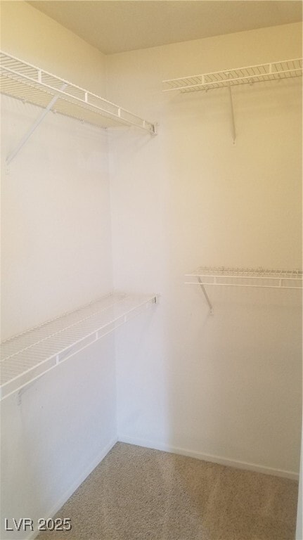 Building Photo - 8101 W Flamingo Rd