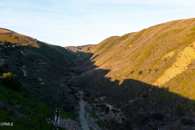 Building Photo - 314 N Kalorama St