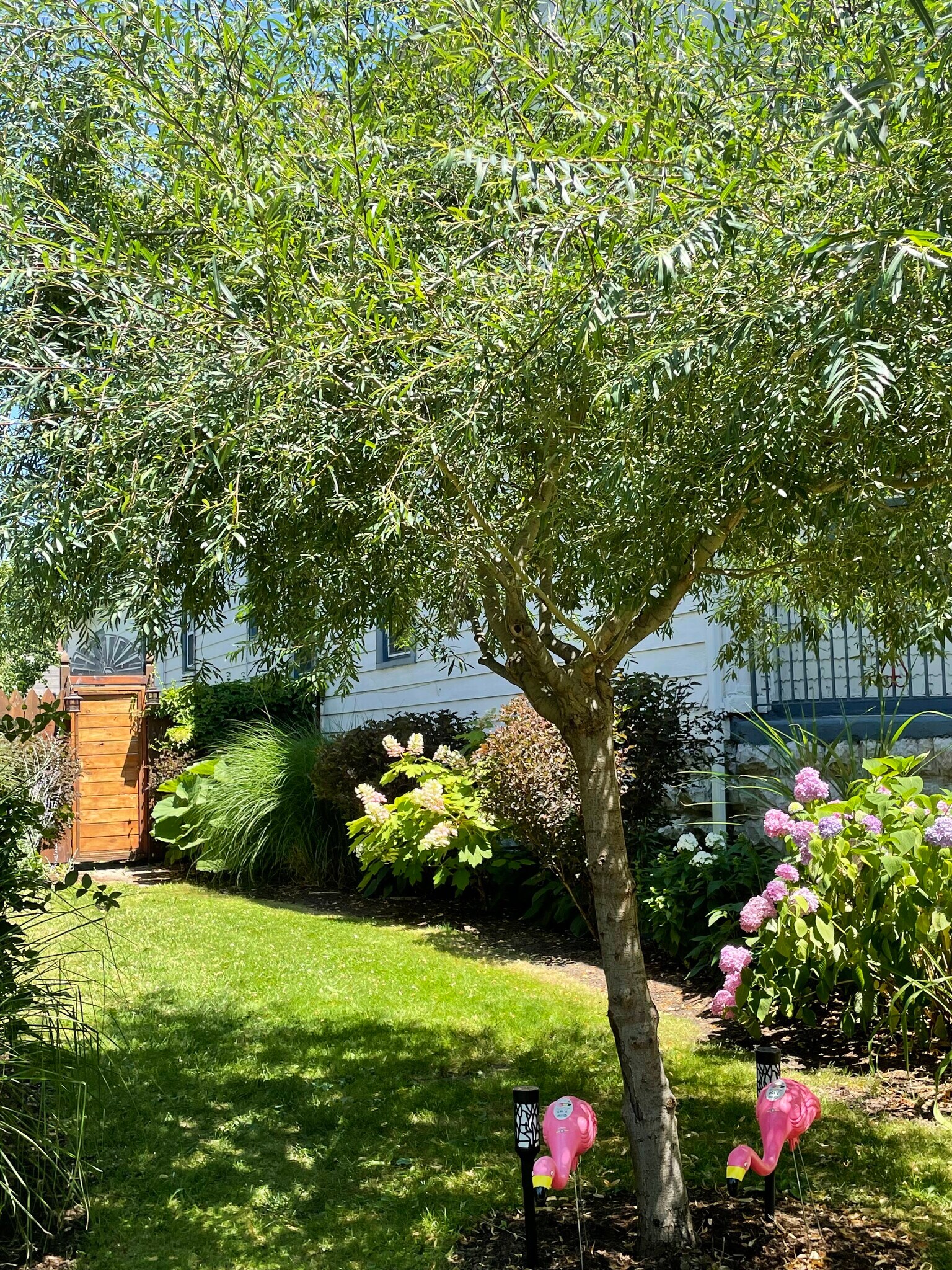 Building Photo - 763 Columbus Pky