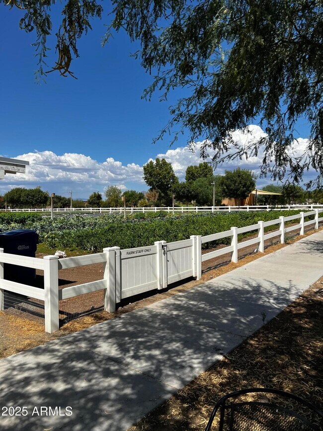 Building Photo - 9846 E Talon Ave