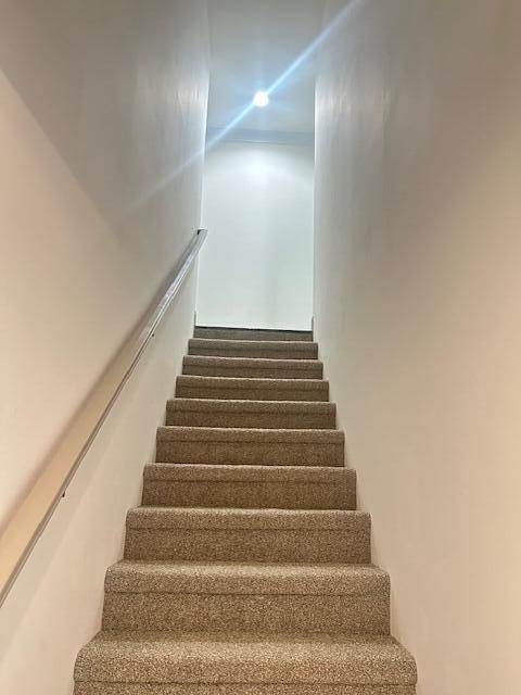 Building Photo - 1923 Cypress Ln