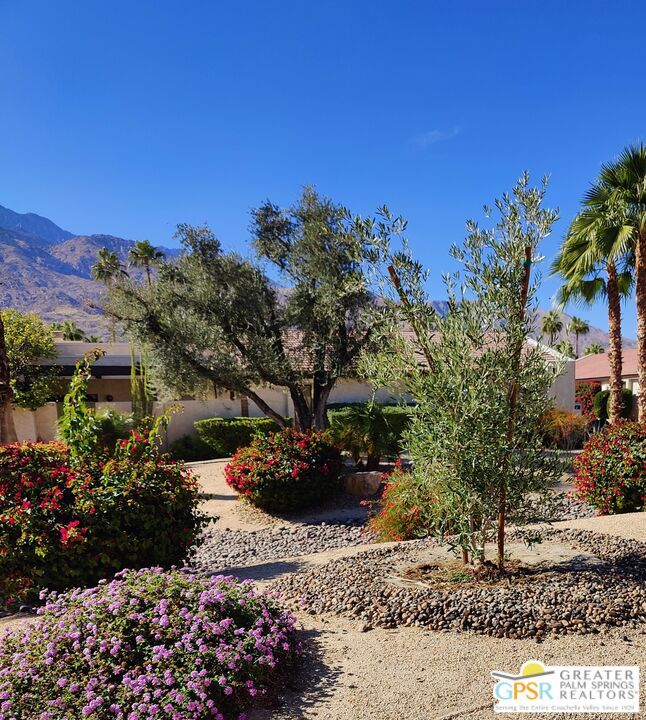 Building Photo - 1475 E Amado Rd