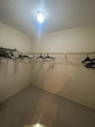 Building Photo - 3826 Whitehall Dr