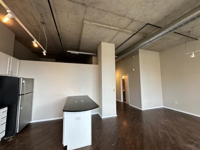 Building Photo - 1 bedroom in Chicago IL 60607