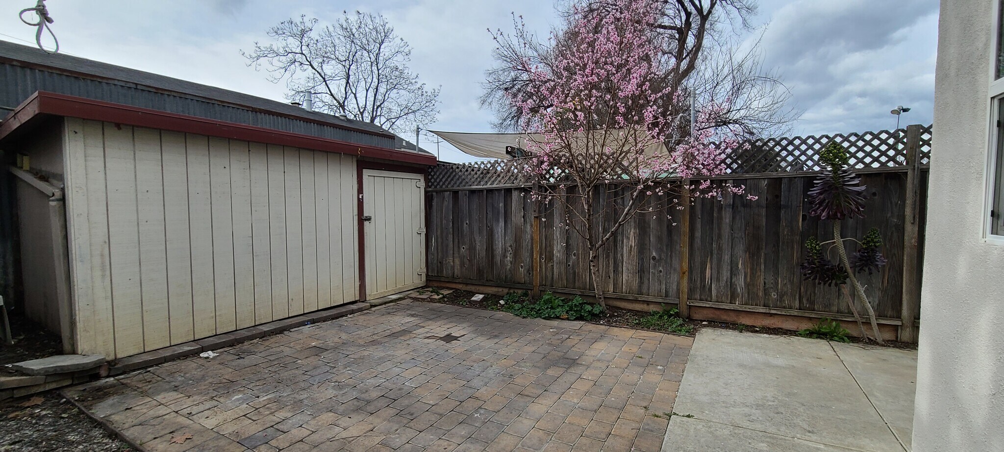 Backyard and included shed - 463 Washington St