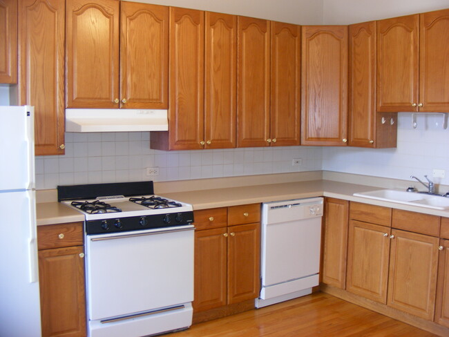 907 S. Laflin St - Apt #3 Kitchen - Harris Point Chicago