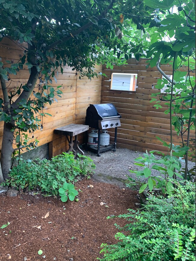 back yard - 4214 N Albina Ave