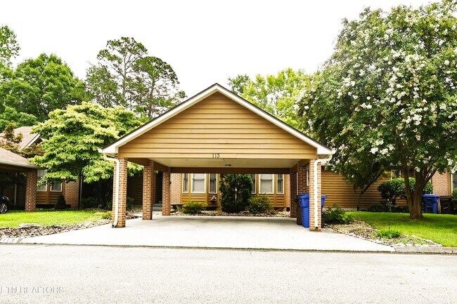 Building Photo - 113 Blue Ridge Ct