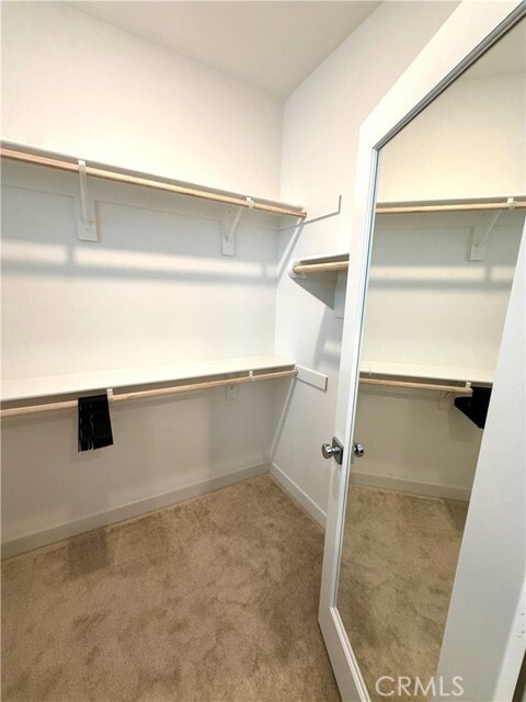 Building Photo - 2048 Hollyleaf Ter