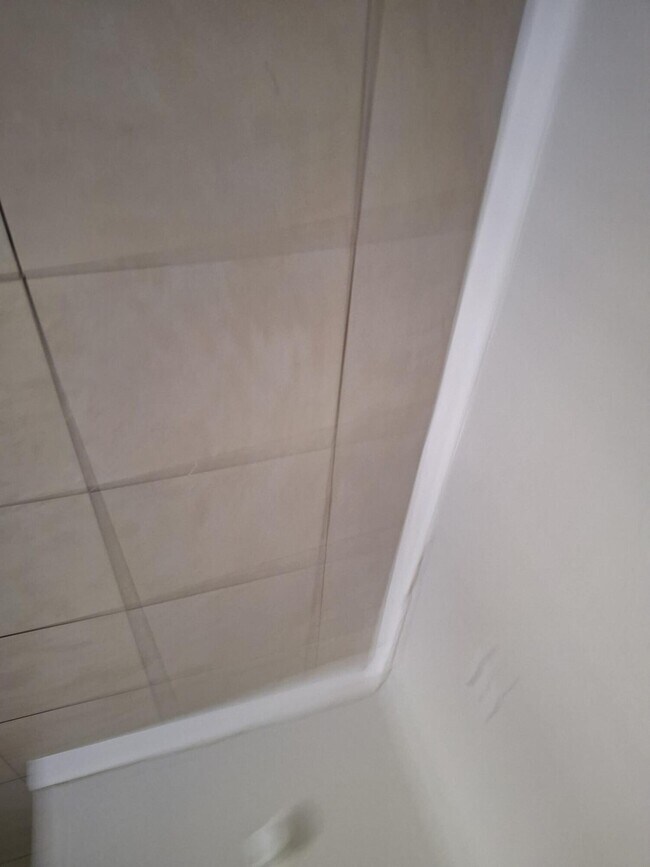 Building Photo - 3238 Coral Lake Ln