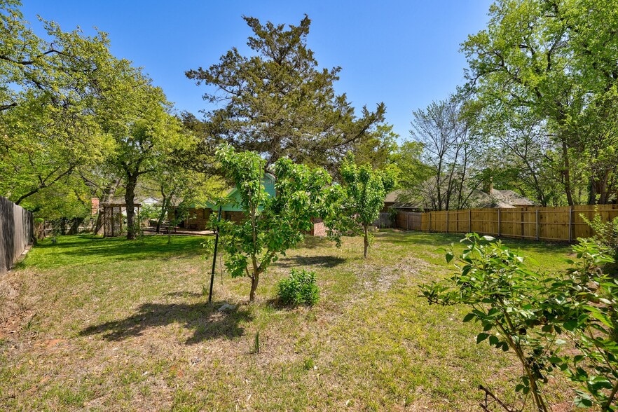 Thornless Blackberry Bush, Apple, and Apricot Trees - 1409 Folkstone
