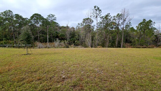 Building Photo - 4724 Yellow Elder Wy