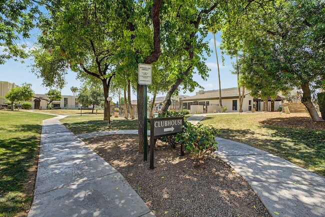 Building Photo - 3825 E Camelback Rd