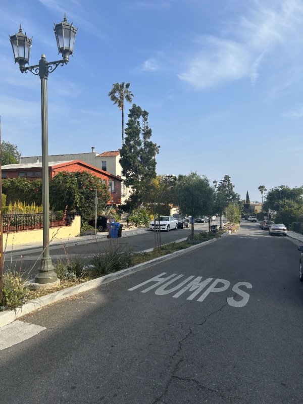 Building Photo - 3360 Descanso Dr