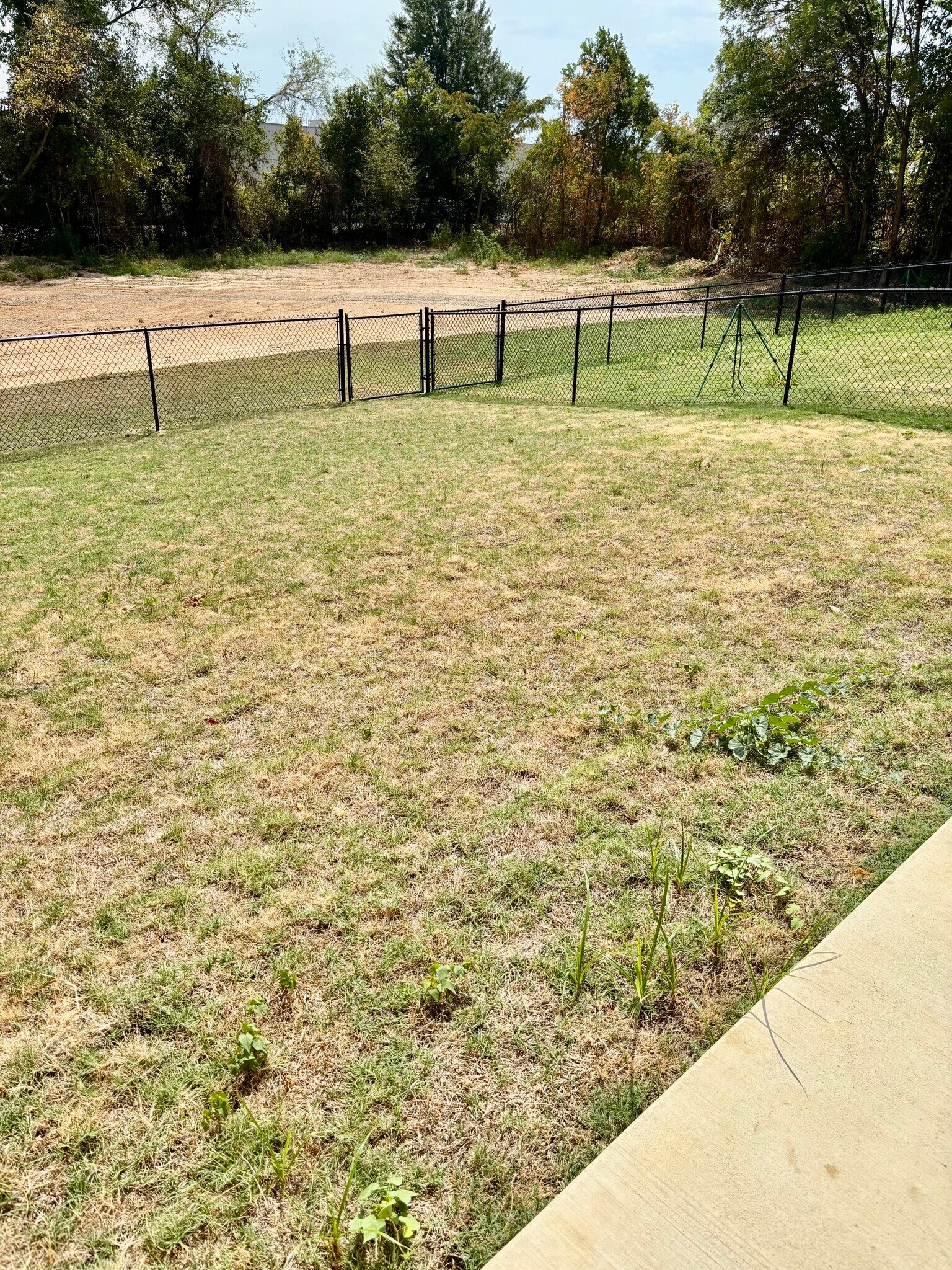 back yard - 402 Lake Lamond Rd