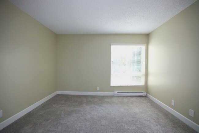 Building Photo - Gorgeous 1 bedroom/1 bath Condo in San Mat...