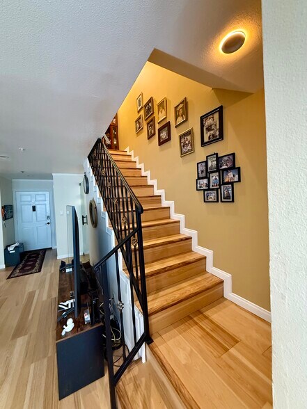 Living room - 1247 E Wilson Ave