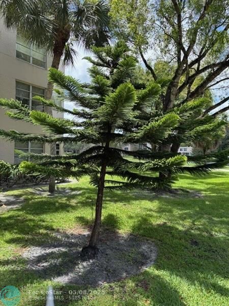 Building Photo - 1811 Sabal Palm Dr