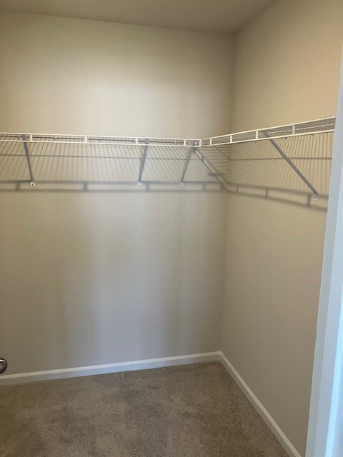 Building Photo - 1816 Bluejay Ln
