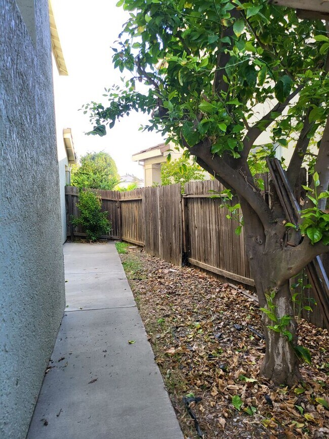 Building Photo - 920 Garcia Dr